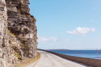 Test nyhetsbrev Amalie