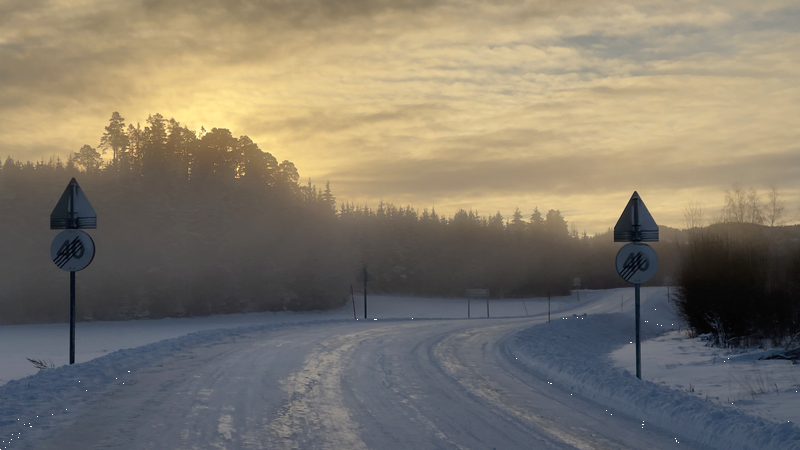 Fylkesvei 6956 i Steinkjer kommune. (Foto: Håvard Zeiner).
